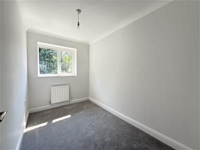 Picture 24